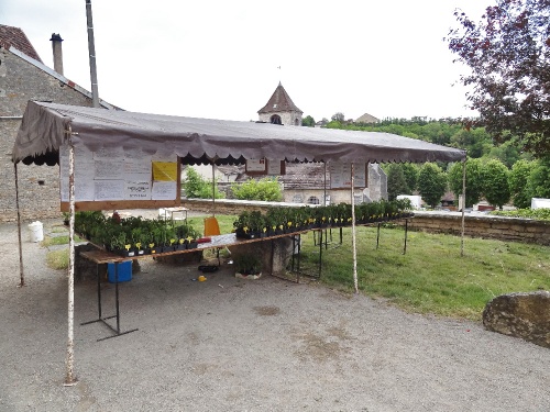 Foire aux graines