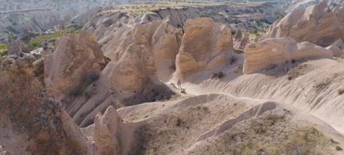 Retournons voir si la Rose...