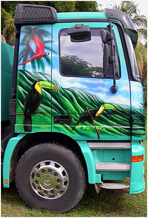 Camions Décorés