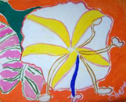 Malcom De Chazal et l'Ile-Fée