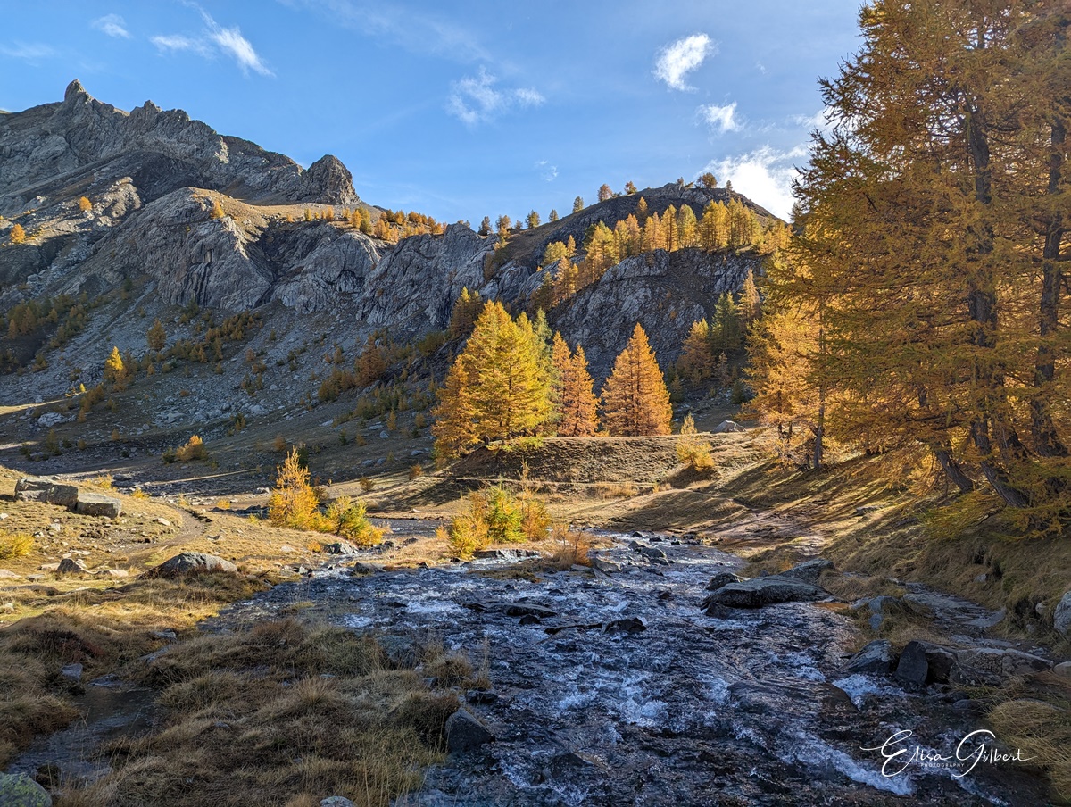 Féerie d'Automne