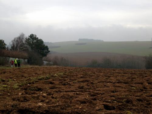 "Combe à La Serpent" - Mercredi 27 janvier 2016