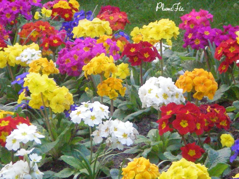 Image014.jpg