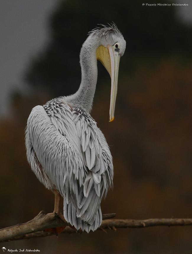 T'en pense quoi toi derrière. ? J'imagine que tu es d'accord depuis que tu me photographies...
