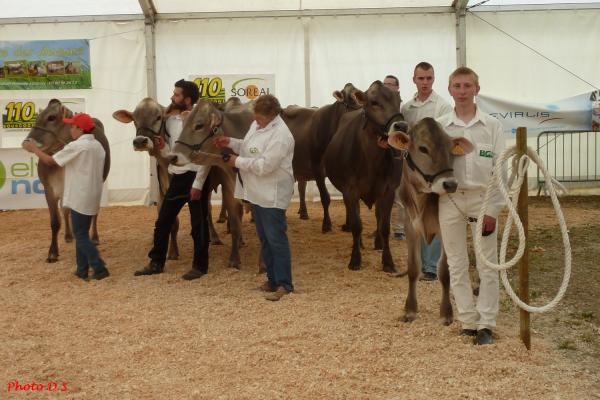 Les Journées Châtillonnaises 2014