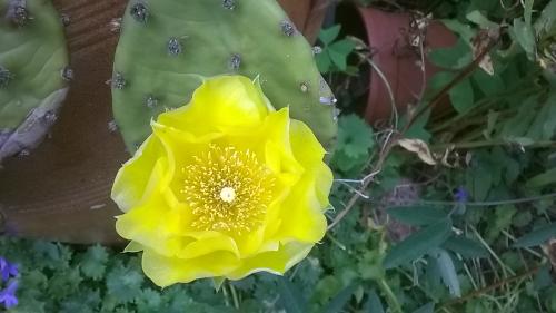 Un petit tour au jardin