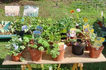 Fête des jardins Naturels 