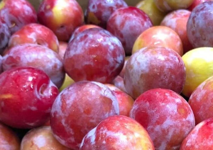 Fruits du mois d'Octobre