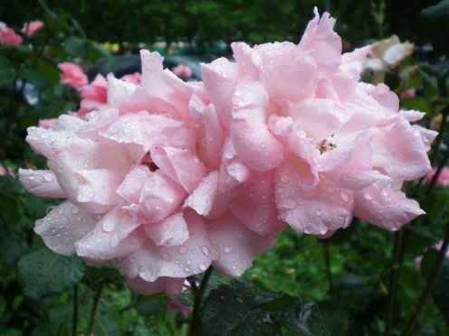 Image60