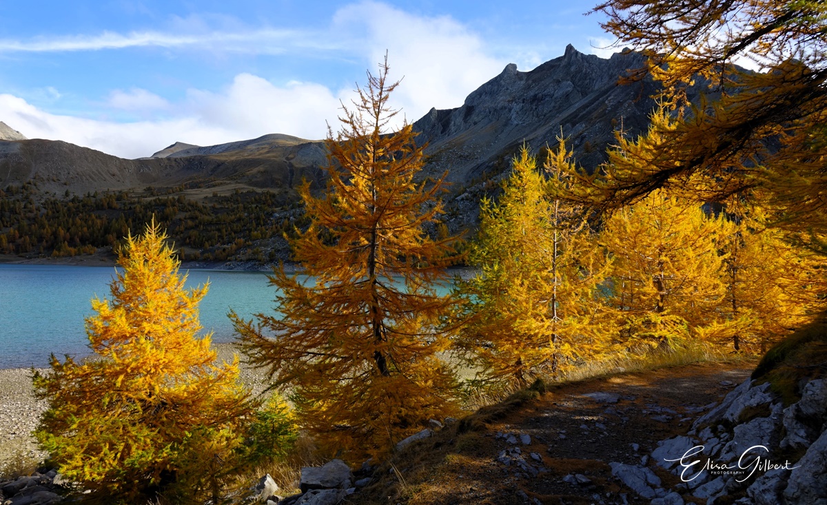 Féerie d'Automne