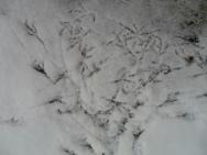 C'était l'hiver ...