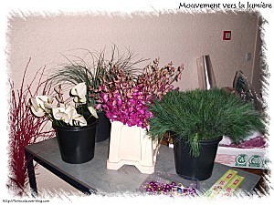 vegetaux 1