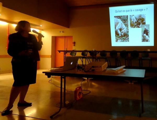 Le congrès National de Mycologie s'est poursuivi par des recherches et des conférences ouvertes au public...
