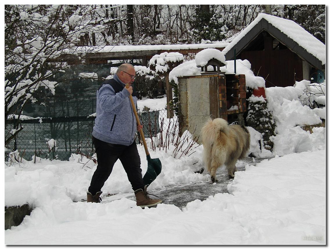 LE 13-01-2021 IL NEIGE 