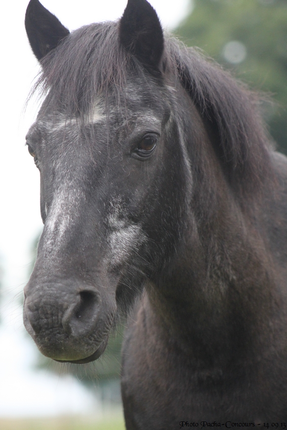 doudou & black 14/09/13