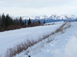 Méli mélo de fin et début d'année ... 