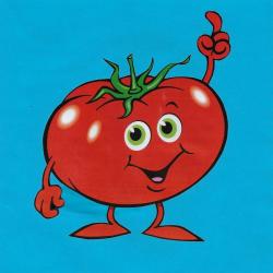 La tomate