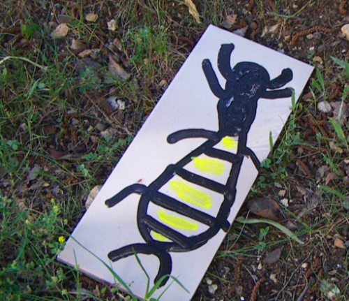 Pistes d'atterrissage pour insectes 