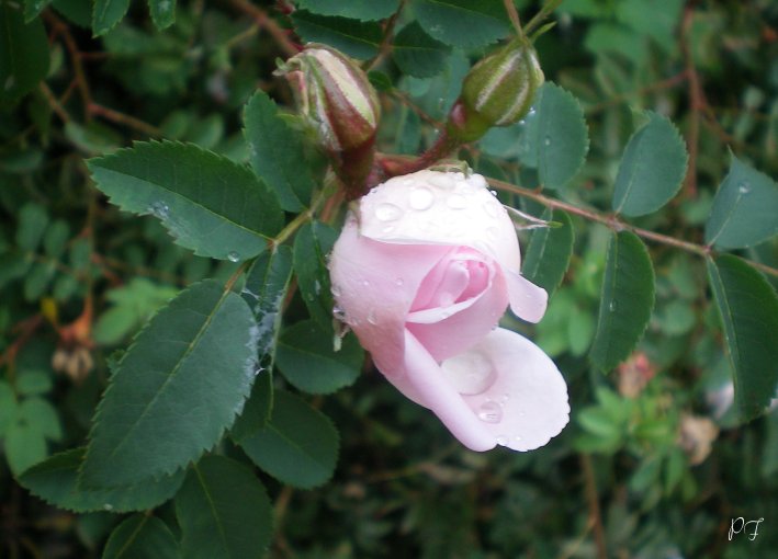 image03.jpg