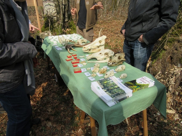 "Vis ma vie de forestier"