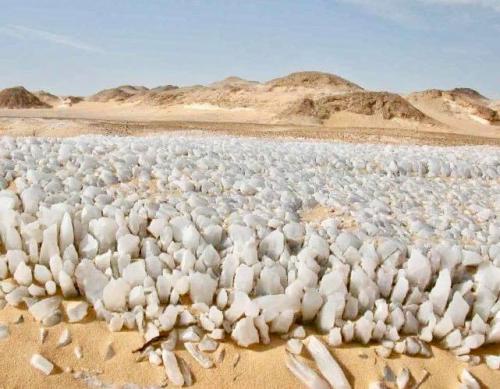 L'incroyable  désert blanc