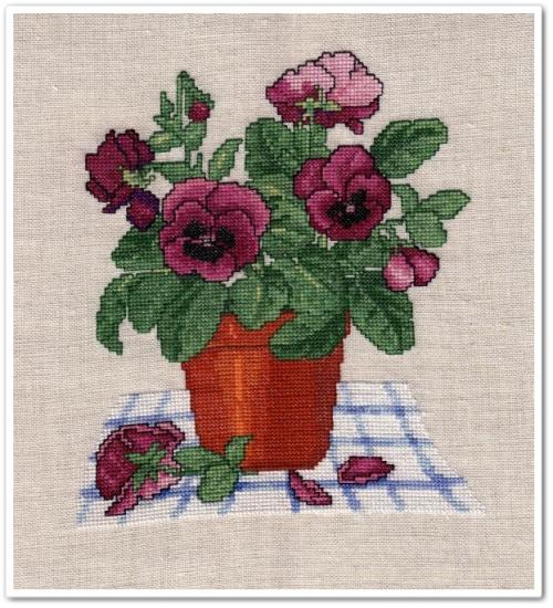 Pansy Pot fin