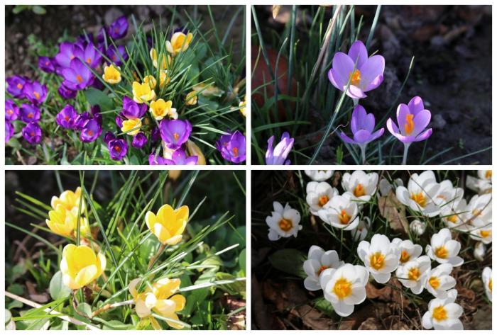 Y a comme un air de printemps