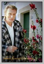Fond ecran johnny hallyday0012
