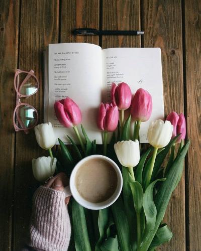 Tulipes