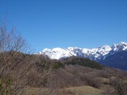 Quoi de neuf en ce début mars