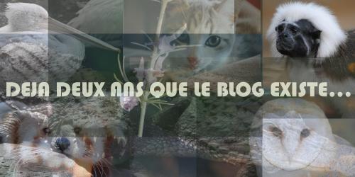{évènementiel} Les 2 ans du blog : retour en arrière & concours n°2. 