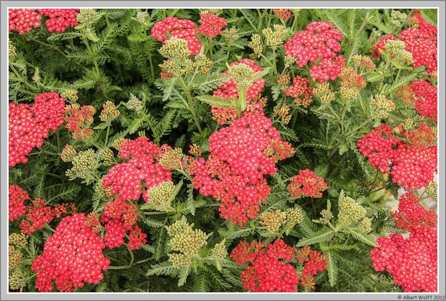 Mes spots du jour - 24/05/2012 - Nature