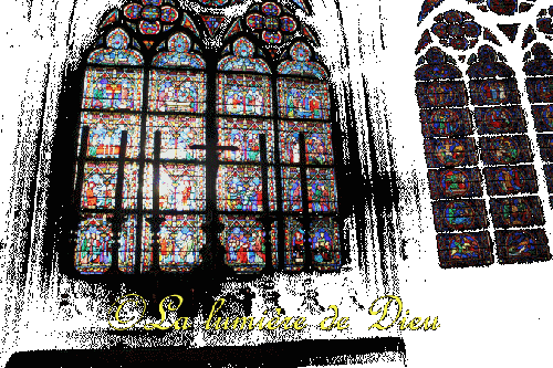 La cathédrale Notre-Dame de Paris