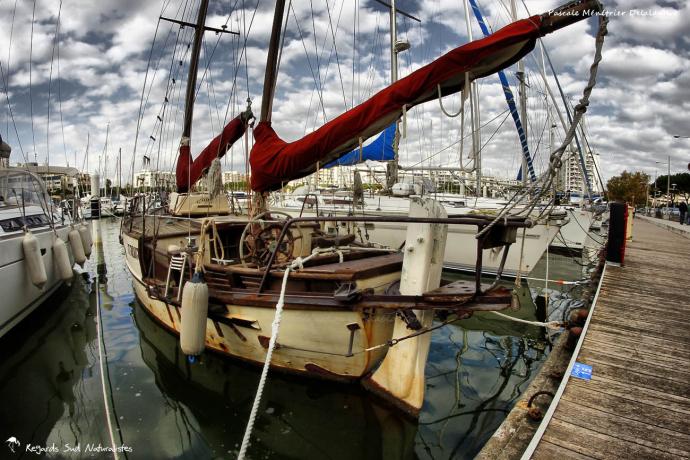 Port de Carnon