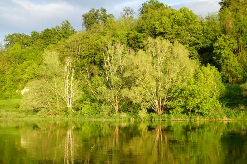 Un petit tour sur la Loire