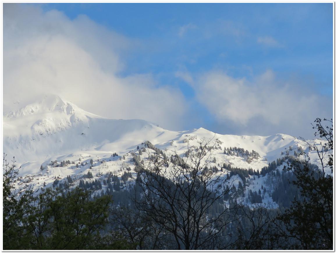 LA DERNIERE NEIGE D'AVRIL 2022