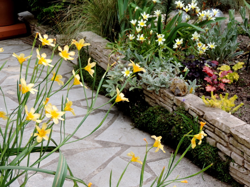 Balade de printemps au jardin...