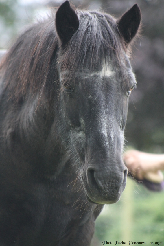 doudou & black 14/09/13