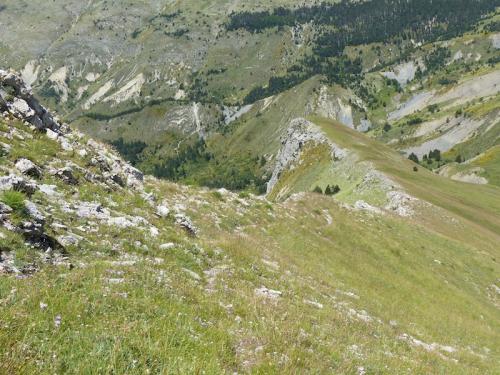 Cloches de Barles