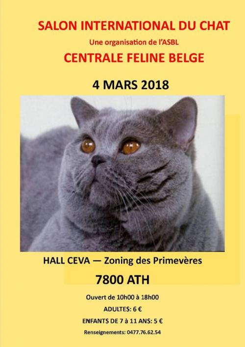 Expo du mois de mars : 