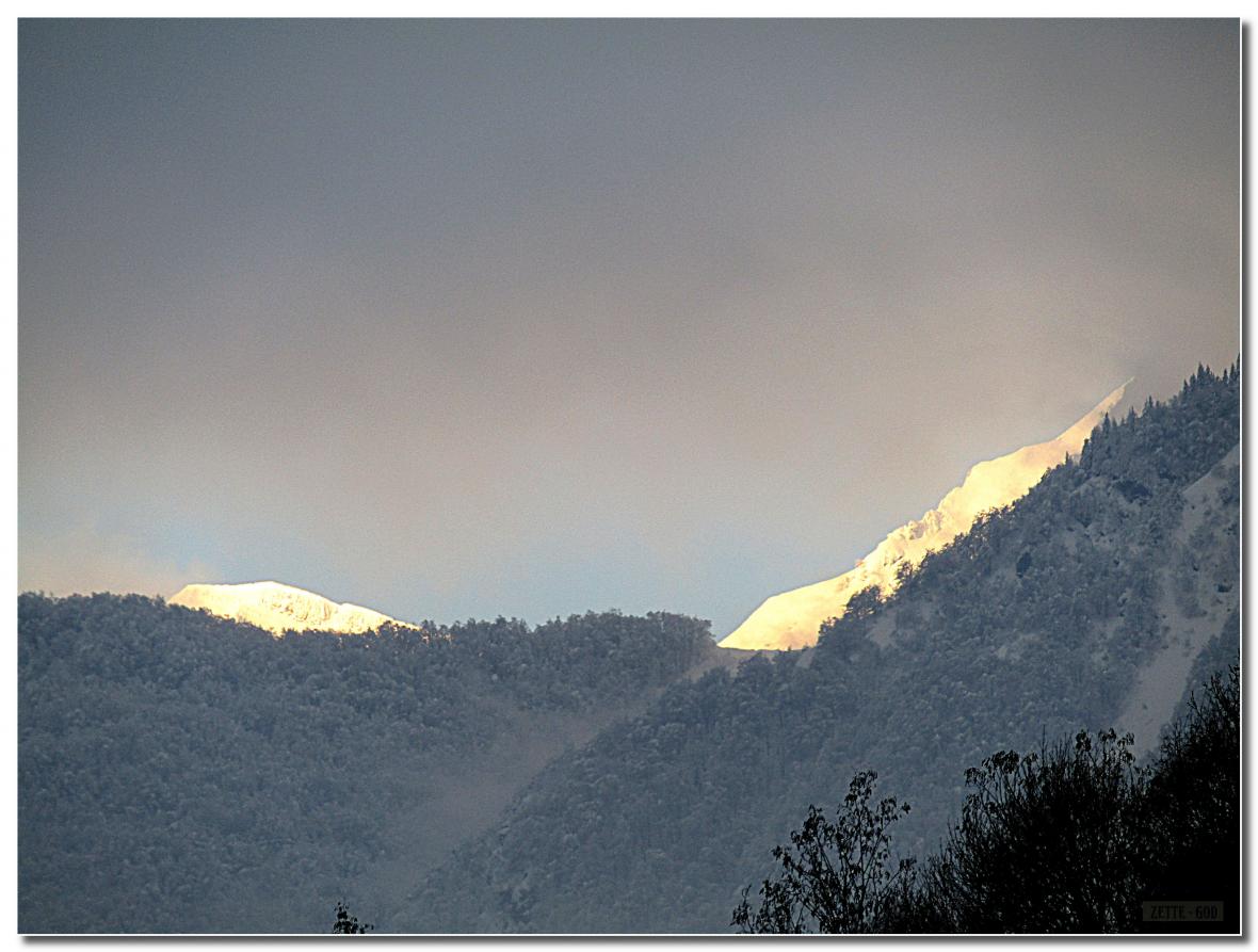  PAYSAGE  DE  JANVIER  2021