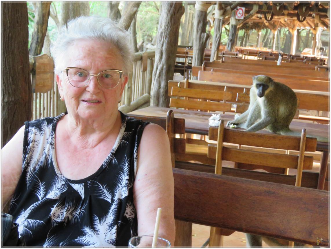 BOUJOUR  LES  SINGES  nov2023