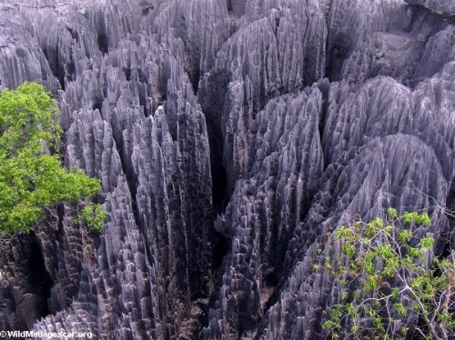 TSINGY DE MADAGASCAR