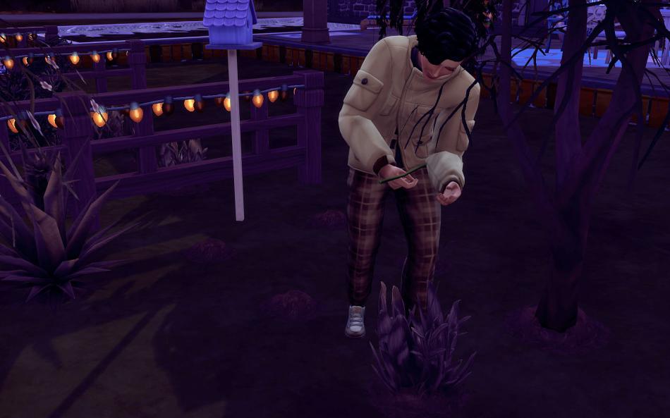 [CALF] Huver 3 - Semaine 15 - Jours 104 à 107