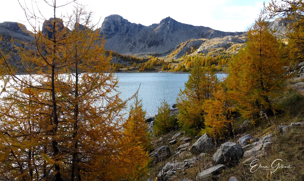 Féerie d'Automne