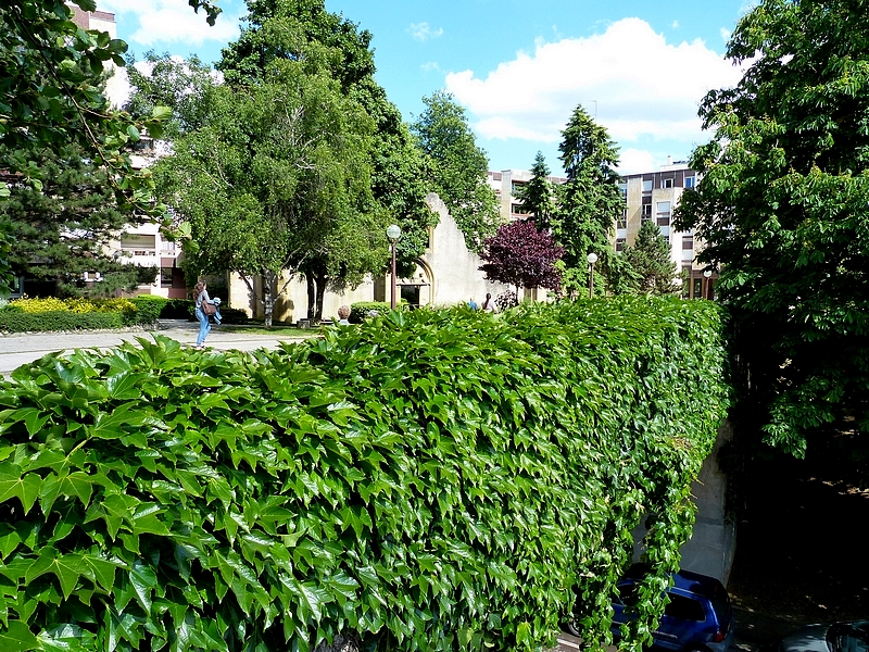 Metz / Les jardins autour du Conseil Régional de Lorraine...
