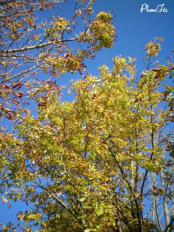 Image020.jpg
