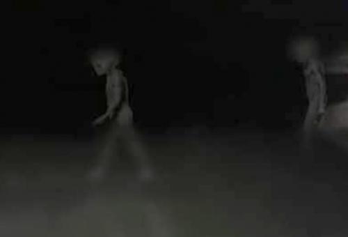 Rencontres avec des humanoïdes.