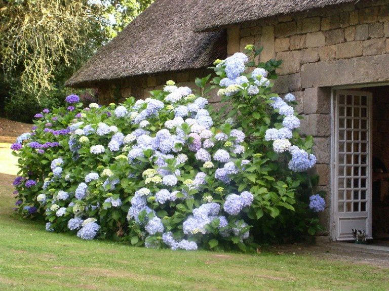 La Chaumière (7)