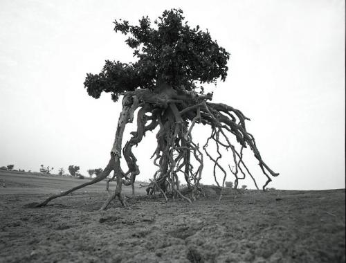 Marc Paygnard  L’éternel émerveillé